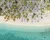 Catalonia Bavaro Beach & Golf Resort