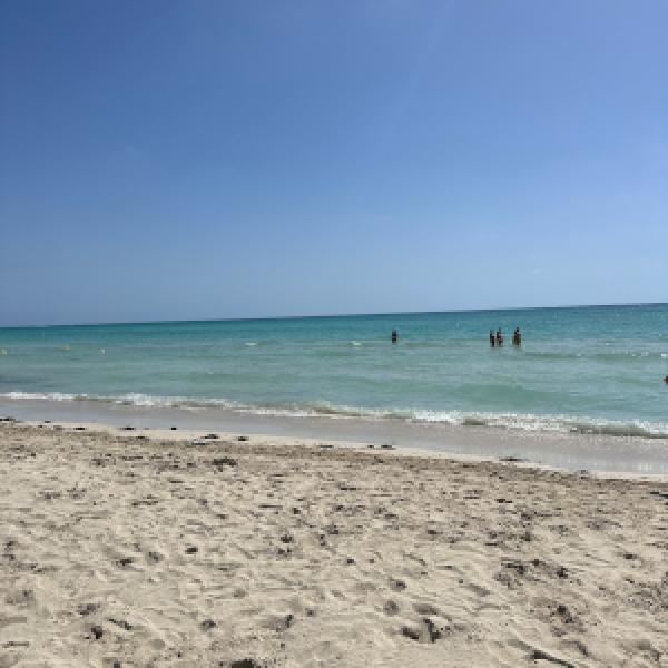 Djerba – jemný piesok🏝️teplé more 🧆 chutná kuchyňa 