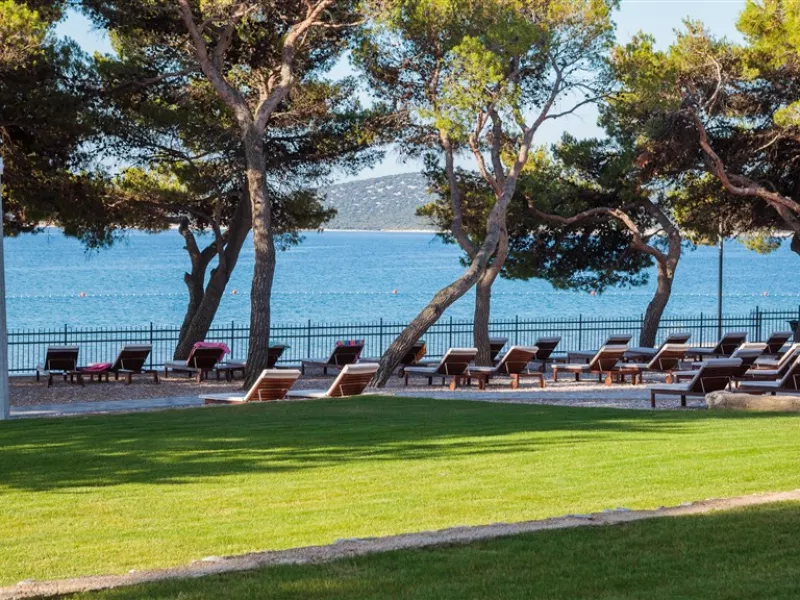 Ville Arausana & Antonina