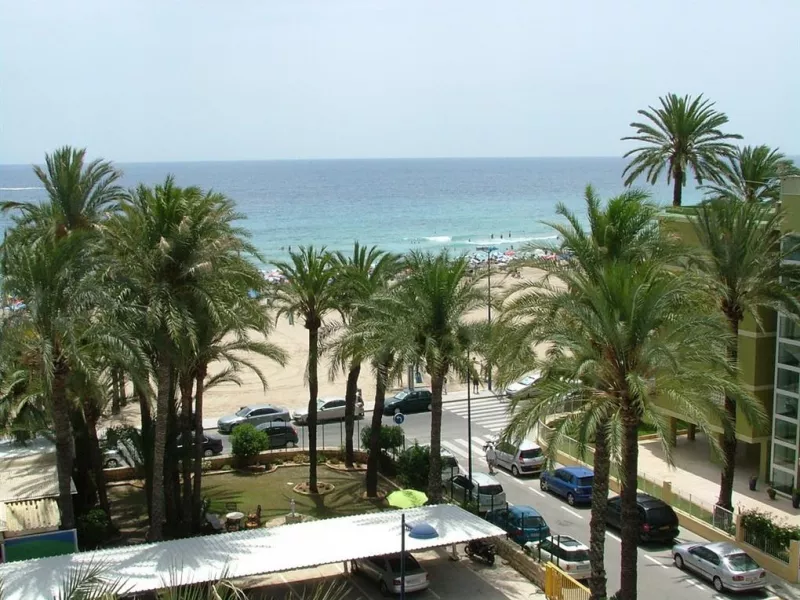 El Palmeral