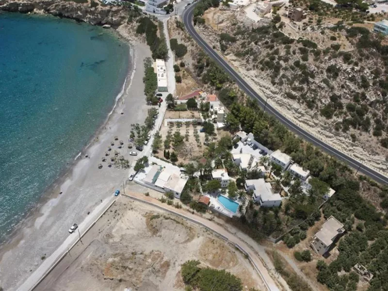 Avra Palm Hotel