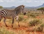 Safari Express z Bratislavy
