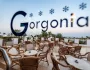 Gorgonia Beach Resort