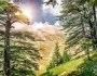 Libanon - krajina cédrových stromov