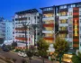Lonicera City Kleopatra