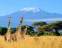 Safari v Keni z Ostravy