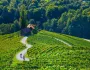 Slovinská pohoda - víno, wellness a zámky