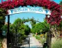 Özlem Garden