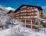 Hotel Alpina