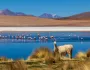 Peru, Bolívia, Čile - Inkovia, Andy a púšť Atacama