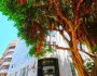 Hotel Estimar Valencia