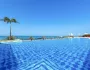 Royal Horizon Baobab