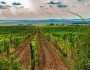 Maďarsko - pôvaby krajiny a Tokaj