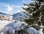 Mountain residence Alpenhof 