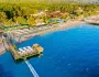Gypsophila Club Marine