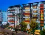 Lonicera City Kleopatra