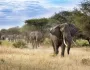 Veľké africké dobrodružstvo: JAR, Lesotho a Eswatini
