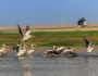 Rumunsko - Jedinečná Delta Dunaja s pobytom pri mori