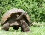 Ekvádor a Galapágy - Cesta do stredu Zeme