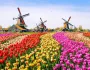 Kvetinové Holandsko a Belgicko