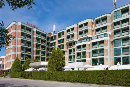 Aktinia Hotel