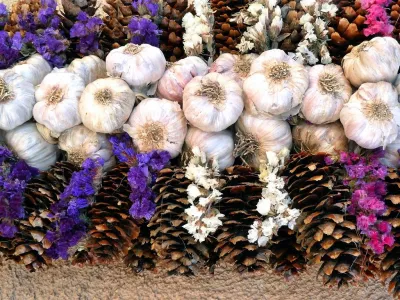 Cesnakový festival v Buchlovicich