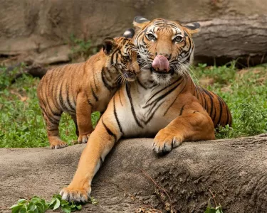 ZOO Zlín a zámok Lešná