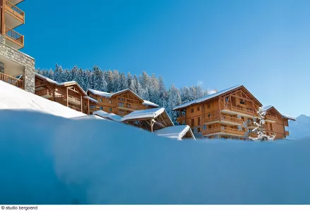 Residence Oree des Cimes