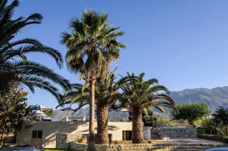 Vantaris Garden