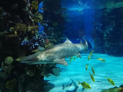 Tropikárium a ZOO Budapešť