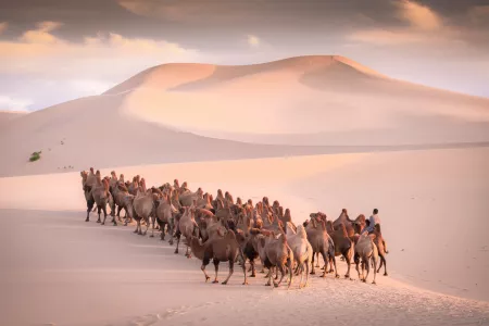 Mongolsko - Tri poklady Gobi a sviatok Naadan