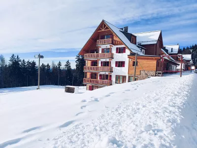Forest Apartmány Videc
