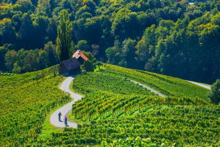 Slovinská pohoda - víno, wellness a zámky