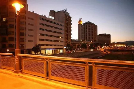 Hotel Guadalmedina