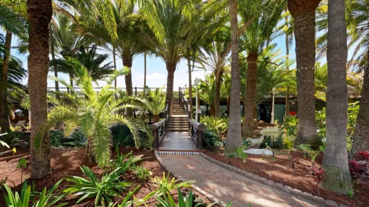 Parque Tropical