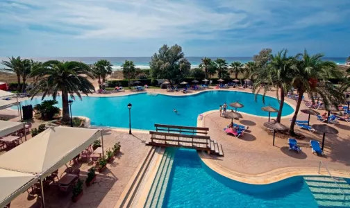 SOL MILANOS PINGUINOS