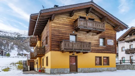 Chalet Sunflower