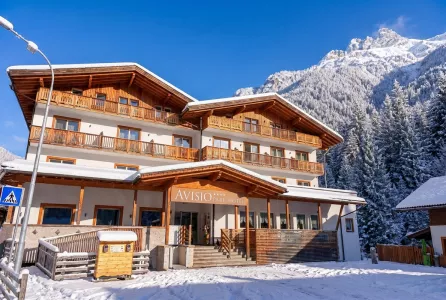 Park Hotel Avisio