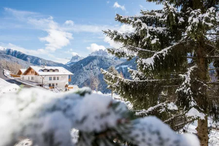 Mountain residence Alpenhof ***