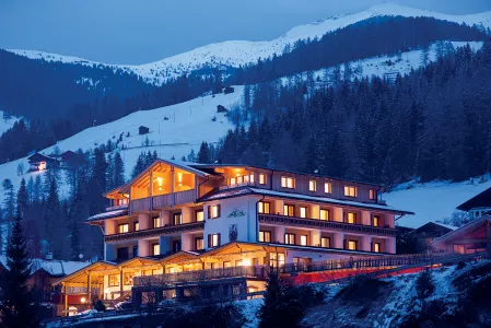 Hotel Biovita Alpi