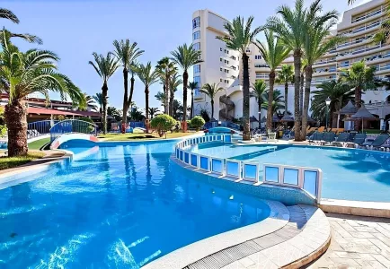 Riadh Palms