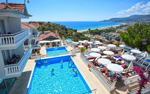 Sunny Hill Alya