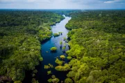 Amazonský prales - zelené srdce Brazílie