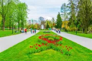 Flora Olomouc