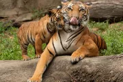 ZOO Zlín a zámok Lešná