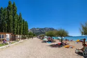 Galeb