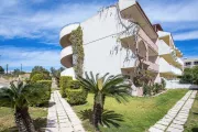 Studia Jimmys Garden