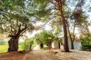 Alykes Park