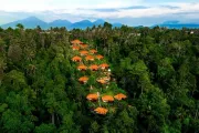 Hotel Nandini Jungle by Hanging Gardens