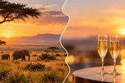 Silvestr na safari